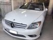 Mercedes-Benz CL class CL 550 4Matic 2008 - Bán Mercedes CL 550 4Matic sản xuất năm 2008, màu trắng, xe nhập Mỹ