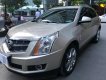 Cadillac SRX 3.0 V6 2010 - Bán Cadillac SRX 3.0 V6 đời 2010, màu vàng
