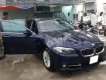 BMW 5 Series 520i 2014 - Cần bán xe BMW 5 Series 520i 2014, màu xanh lam, xe nhập