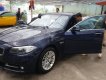 BMW 5 Series 520i 2014 - Cần bán xe BMW 5 Series 520i 2014, màu xanh lam, xe nhập