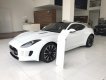 Jaguar F Type  Sport  2017 - Bán Jaguar F-Type Sport chính hãng - Giao ngay với quà tặng và phụ kiện lớn - Hotline: 0938302233