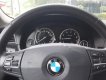 BMW 5 Series 520i 2014 - Cần bán xe BMW 5 Series 520i 2014, màu xanh lam, xe nhập