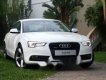 Audi A5 2013 - Bán Audi A5 nhập khẩu của Đức, chính chủ biển số Sài Gòn, bao test hãng, nội thất mới