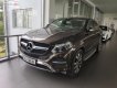 Mercedes-Benz GLE-Class GLE Class 2017 - Cần bán lại xe Mercedes GLE Class đời 2017, màu nâu, nhập khẩu nguyên chiếc như mới