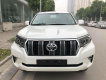 Toyota Prado 2018 - Bán Toyota Prado năm 2018 màu trắng, nhập khẩu nguyên chiếc, giao ngay, LH 0985102300