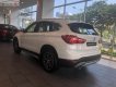 BMW X1 sDriver18i 2018 - Bán BMW X1 sDriver18i đời 2018, màu trắng, xe nhập