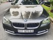 BMW 5 Series 520i 2014 - Bán BMW 5 Series 520i 2014, màu nâu, nhập khẩu