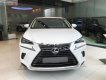 Lexus NX  300 2018 - Bán xe Lexus NX 300 năm 2018, màu trắng, xe nhập