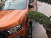 Ford Ranger 2016 - Xe cũ Ford Ranger đời 2016, màu nâu, nhập khẩu