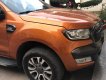 Ford Ranger 2016 - Xe cũ Ford Ranger đời 2016, màu nâu, nhập khẩu