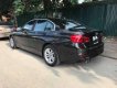 BMW 3 Series 320i 2016 - Bán BMW 3 Series 320i năm sản xuất 2016, màu đen, nhập khẩu nguyên chiếc Đức