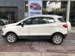 Ford EcoSport 1.5L AT Titanium 2016 - Bán ô tô Ford EcoSport 1.5L AT Titanium, 2016 xe chạy siêu lướt 2.500km