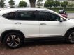 Honda CR V TG 2.4 2017 - Bán ô tô Honda CR V TG 2.4 năm 2017, màu trắng