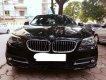 BMW 5 Series 520i   2014 - Bán BMW 520i năm 2013, màu đen, nhập khẩu chính chủ