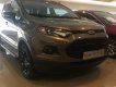 Ford EcoSport 2017 - Bán Ford EcoSport sản xuất 2017 màu nâu, giá chỉ 605 triệu