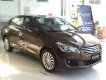 Suzuki Ciaz 2017 - Cần bán Suzuki Ciaz sản xuất năm 2017, màu nâu, nhập khẩu nguyên chiếc