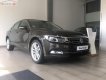 Volkswagen Passat 1.8 Bluemotion 2018 - Bán xe Volkswagen Passat 1.8 Bluemotion đời 2018, màu nâu, nhập khẩu, công nghệ an toàn