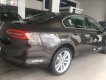 Volkswagen Passat 1.8 Bluemotion 2018 - Bán xe Volkswagen Passat 1.8 Bluemotion đời 2018, màu nâu, nhập khẩu, công nghệ an toàn