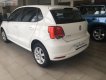 Volkswagen Polo 1.6 AT 2018 - Cần bán xe Volkswagen Polo 1.6 AT năm sản xuất 2018, màu trắng, xe nhập