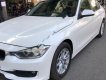 BMW 3 Series 320i 2014 - Bán xe BMW 3 Series 320i đời 2014, màu trắng, xe nhập xe gia đình 