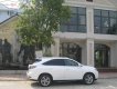 Lexus RX 350 AWD 2012 - Bán Lexus RX 350 AWD sản xuất năm 2012, màu trắng, nhập khẩu