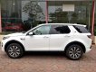 LandRover Discovery Sport HSE Luxury 2016 - Cần bán LandRover Discovery Sport HSE Luxury đời 2016, màu trắng, xe nhập