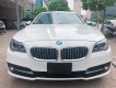 BMW 5 Series 520i 2014 - Cần bán lại xe BMW 5 Series 520i đời 2015, màu trắng, xe nhập xe gia đình