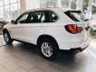 BMW X3 X-Drive 35i  2018 - BMW X5 X-Drive 35i sx 2018, sẵn xe giao ngay, hỗ trợ vay 85% giá trị xe