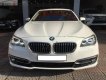 BMW 5 Series 520i 2014 - Việt Tuấn Auto bán xe BMW 5 Series 520i 2014, màu trắng, nhập khẩu