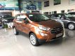 Ford EcoSport Titanium  2018 - Bán xe Ford Ecosport 2018 đủ màu. Giảm 20tr tặng kèm bảo hiểm, phim 3M, bệ bước, hỗ trợ ngân hàng toàn quốc