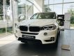 BMW X3 X-Drive 35i  2018 - BMW X5 X-Drive 35i sx 2018, sẵn xe giao ngay, hỗ trợ vay 85% giá trị xe