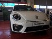 Volkswagen Beetle  Dune 2018 - Volkswagen Beetle Beetle Dune sản xuất 2018, màu trắng, nhập khẩu, hỗ trợ vay 80%