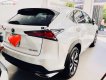 Lexus NX 300 2017 - Cần bán xe Lexus NX 300 đời 2017, màu trắng, nhập khẩu nguyên chiếc  