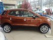 Ford EcoSport Titanium 1.0L AT 2019 - Bán Ecosport 2019 đủ màu và phiên bản, chỉ cần 200 triệu đồng nhận ngay chuyên gia đường phố - Call 0974286009