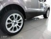 Ford EcoSport   1.5 Titanium  2018 - Bán ô tô Ford EcoSport 1.5 Titanium năm 2018, màu xám giá cạnh tranh