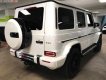 Mercedes-Benz G class G63 AMG 2018 - Bán ô tô Mercedes G63 AMG sản xuất 2018, màu trắng, xe nhập