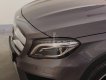 Mercedes-Benz GLA-Class GLA 250 2016 - Bán Mercedes GLA 250 2016, màu xám (ghi), xe nhập