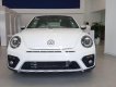 Volkswagen New Beetle 2018 - Bán Volkswagen New Beetle năm sản xuất 2018, màu trắng, xe nhập