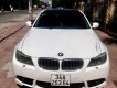 BMW 3 Series 320i 2009 - Bán BMW 3 Series 320i sản xuất năm 2009, màu trắng, nhập khẩu