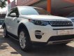 LandRover Discovery Sport HSE Luxury 2015 - Cần bán xe LandRover Discovery Sport HSE Luxury đời 2015, màu trắng, nhập khẩu nguyên chiếc