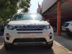 LandRover Discovery Sport HSE Luxury 2015 - Cần bán lại xe LandRover Discovery Sport HSE Luxury sản xuất năm 2015, màu trắng, nhập khẩu