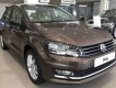 Volkswagen Polo  1.6AT 2018 - Cần bán xe Volkswagen Polo 1.6AT đời 2018, màu nâu, nhập khẩu