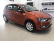 Volkswagen Polo 2016 - Tôi cần bán xe 5 chỗ nhập Đức, xe mới giá chỉ 599tr