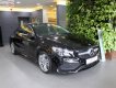 Mercedes-Benz CLA class CLA 250 4Matic 2018 - Bán Mercedes CLA 250 4Matic 2018, màu đen, nhập khẩu