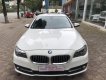 BMW 5 Series 520i  2015 - Bán ô tô BMW 5 Series 520i sản xuất năm 2015