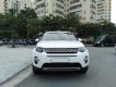 LandRover Discovery Sport HSE Luxury 2015 - Bán ô tô LandRover Discovery Sport HSE Luxury 2017, màu trắng, xe nhập