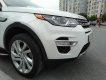 LandRover Discovery Sport HSE Luxury 2015 - Bán ô tô LandRover Discovery Sport HSE Luxury 2017, màu trắng, xe nhập