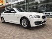 BMW 5 Series 520i  2015 - Bán ô tô BMW 5 Series 520i sản xuất năm 2015