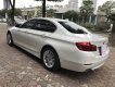 BMW 5 Series 520i  2015 - Bán ô tô BMW 5 Series 520i sản xuất năm 2015