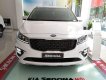 Kia Sedona Platinum G 2018 - Bán xe Kia Sedona Platinum G sản xuất năm 2018, màu trắng